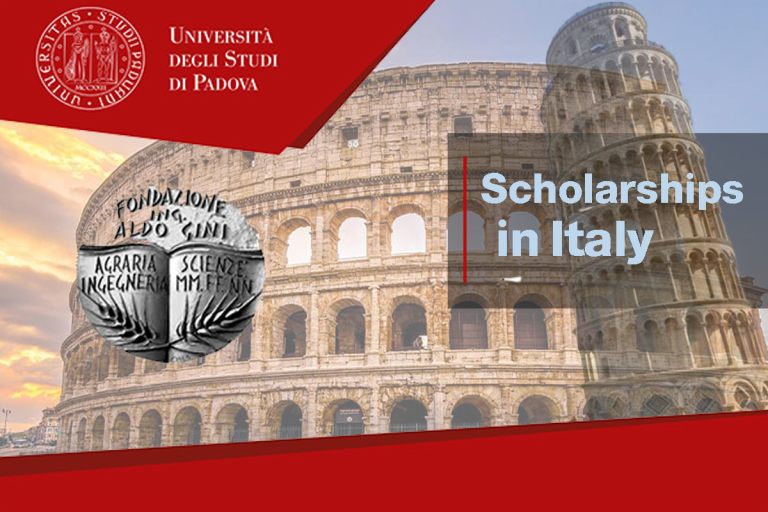 Gini Foundation Scholarships (University of Padua )  for STEM graduates 2026