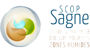 scop sagne